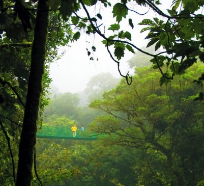 Hanging Bridges & Humingbirds Gardens Selvatura Self-guided walk
